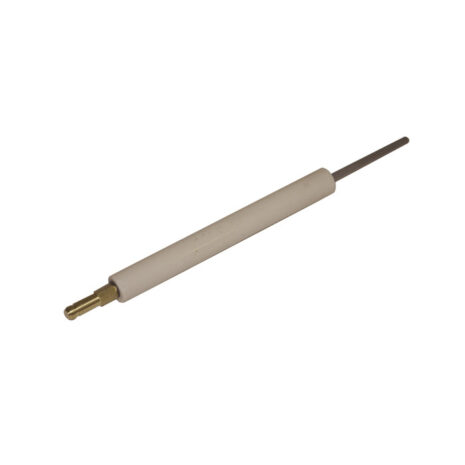 Sonde ionisation BS1 RIELLO %sep% %currentyear% %sep% %sitename%